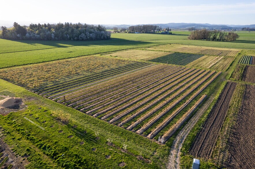 More Photos Of 7601 NW Milne Rd, Cornelius Winery Vineyard For Sale