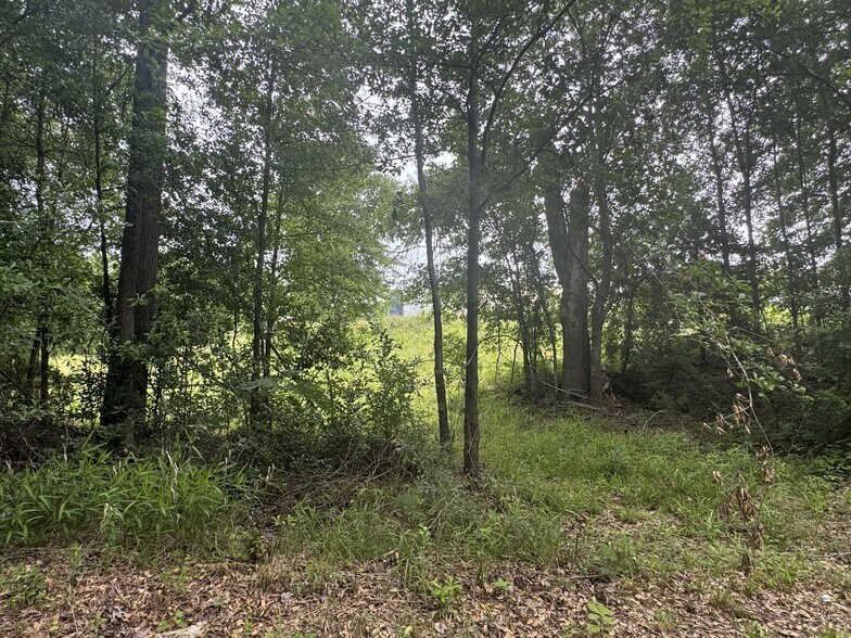 More Photos Of 6175 TX-256 Hwy, Palestine Land For Sale