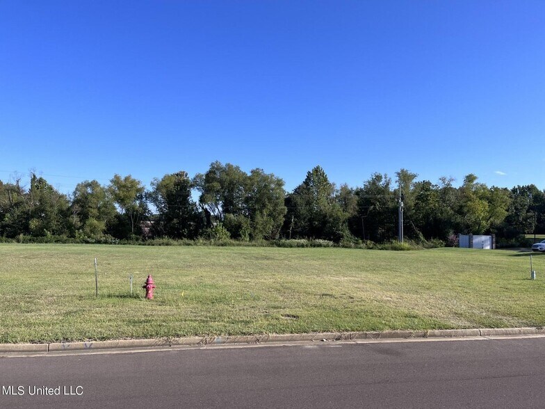 Primary Photo Of 0 Monteith Ave, Hernando Land For Sale