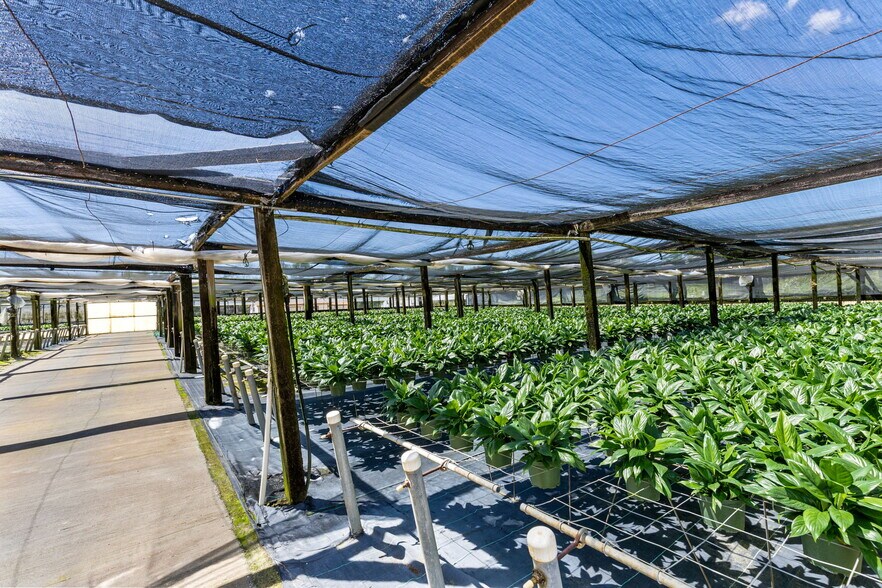 More Photos Of 18021 E Apshawa Rd, Minneola Land For Sale