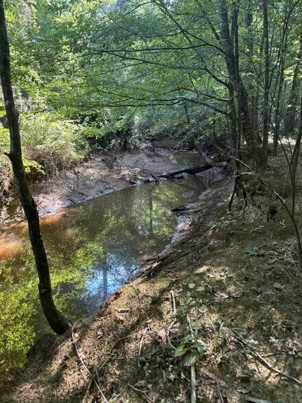 More Photos Of 236 Cooper Rd, Homer Land For Sale