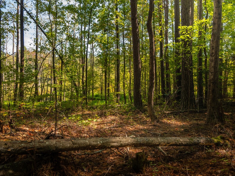 More Photos Of 00 Nash Mill Extension rd, Fountain Inn Land For Sale