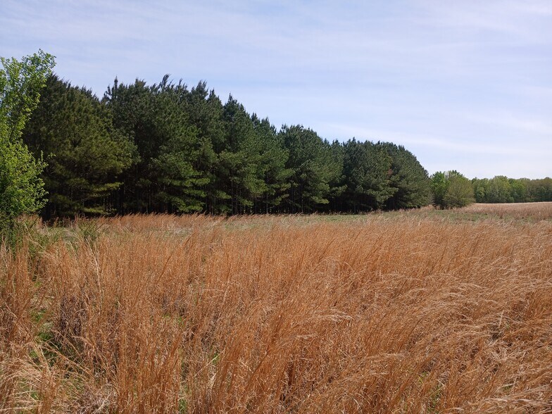 More Photos Of 414000 E 1920 Rd, Antlers Land For Sale