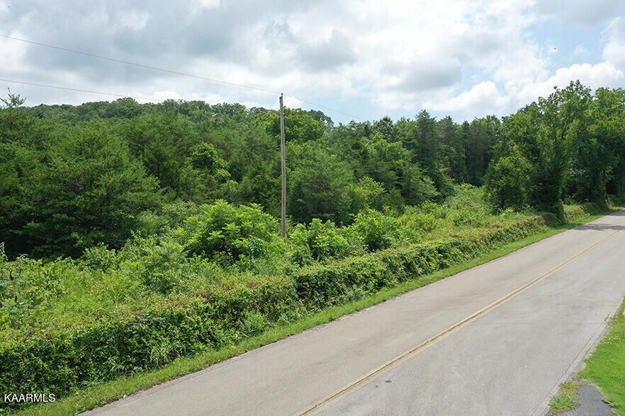 Primary Photo Of 220 Milldale Rd, Dandridge Land For Sale