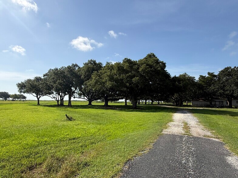 More Photos Of 525 Olede Devillier Road, Winnie Land For Sale