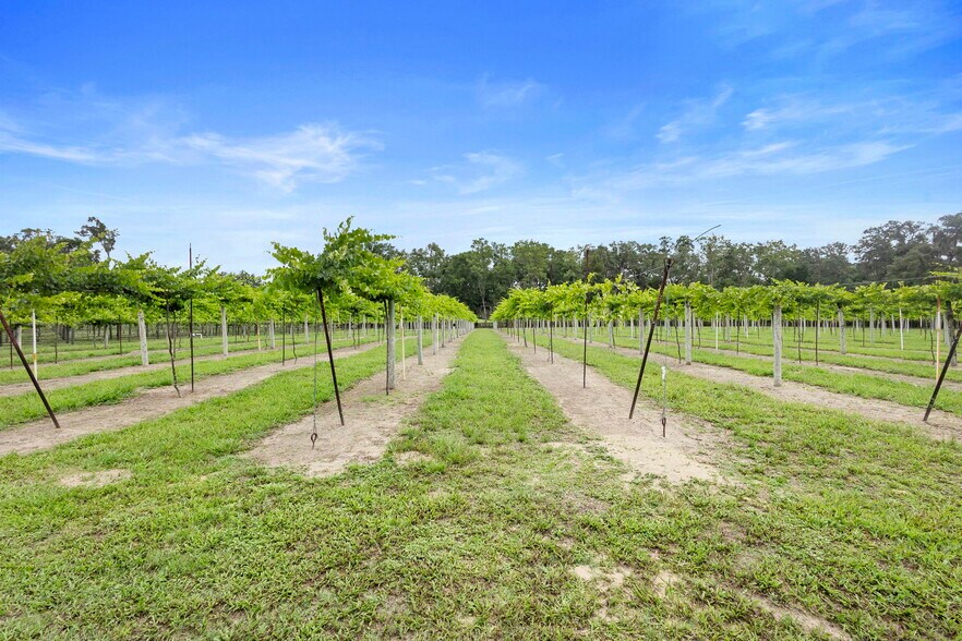 More Photos Of 1056 Reynolds Rd, De Leon Springs Specialty For Sale