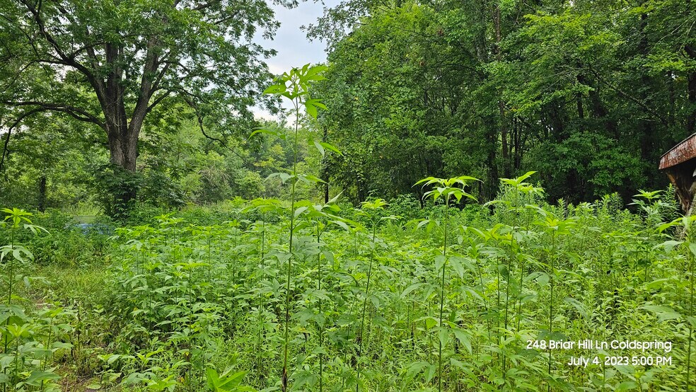 More Photos Of 248 Briar Hill Ln, Coldspring Land For Lease