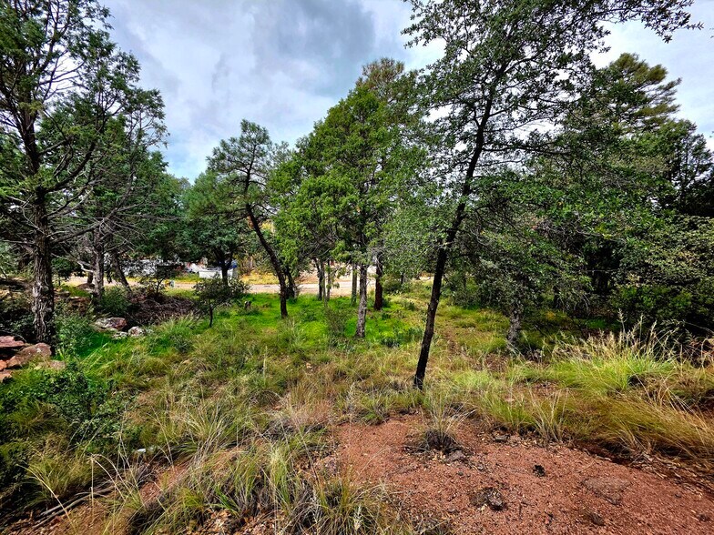 More Photos Of 912 N Beeline Hwy, Payson Land For Sale