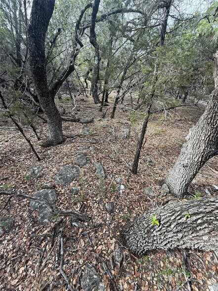 More Photos Of 0000 Lakehurst Rd, Spicewood Land For Sale