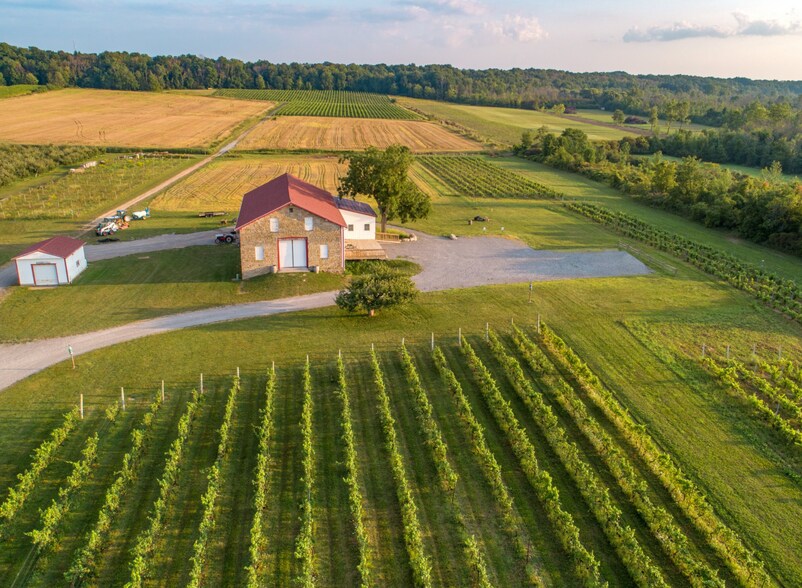 More Photos Of 5138 Lower Mountain Rd, Lockport Winery Vineyard For Sale