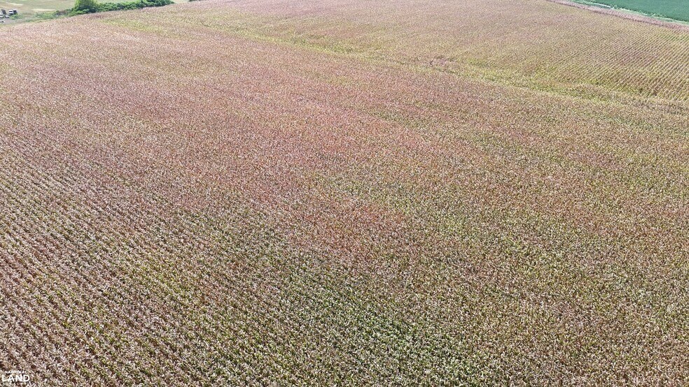 More Photos Of 1120 Highway 165 N, Stuttgart Land For Sale