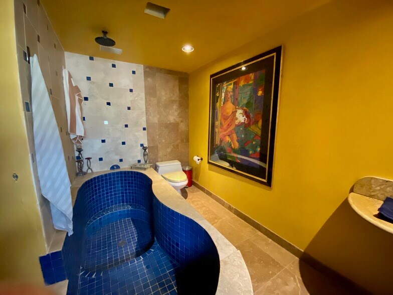 More Photos Of 691 Desert Trail way, Tecopa Winery Vineyard For Sale