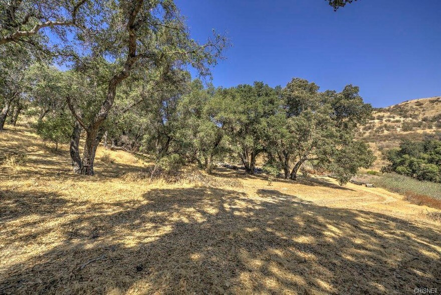 Pineview, Santa Clarita, CA 91387 Land For Sale