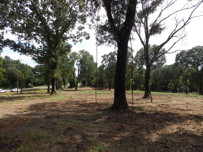 More Photos Of 16393 Highway 31, Tyler Land For Sale