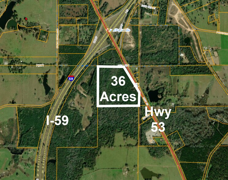 Primary Photo Of 0 Highway 53, Poplarville Land For Sale