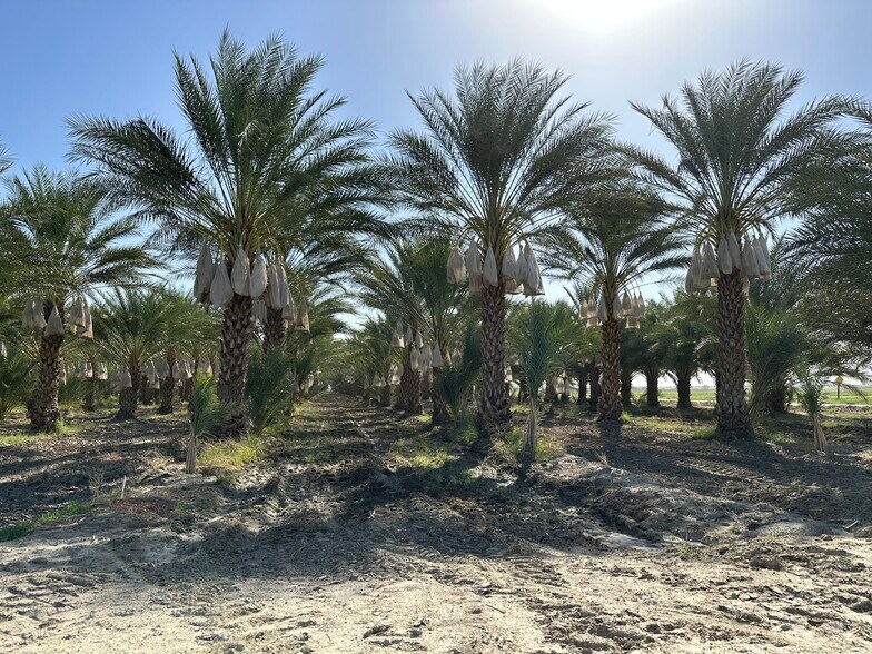 More Photos Of 60504 Jackson St, Thermal Land For Sale