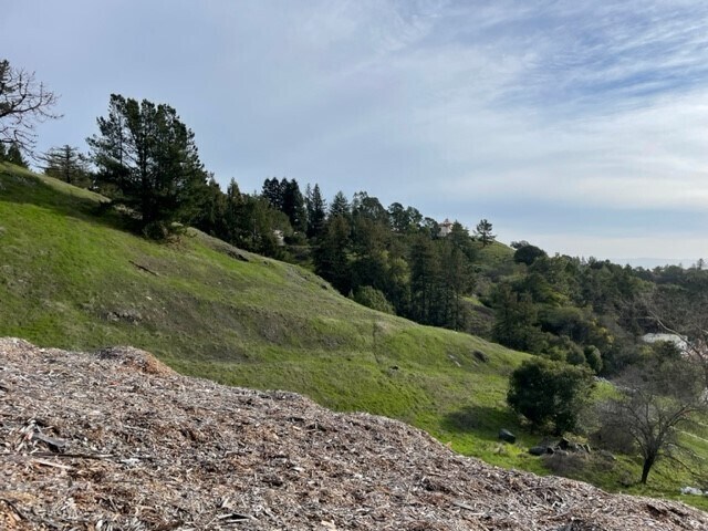 More Photos Of Redwod Rd @ Skyline Blvd, Oakland Land For Sale