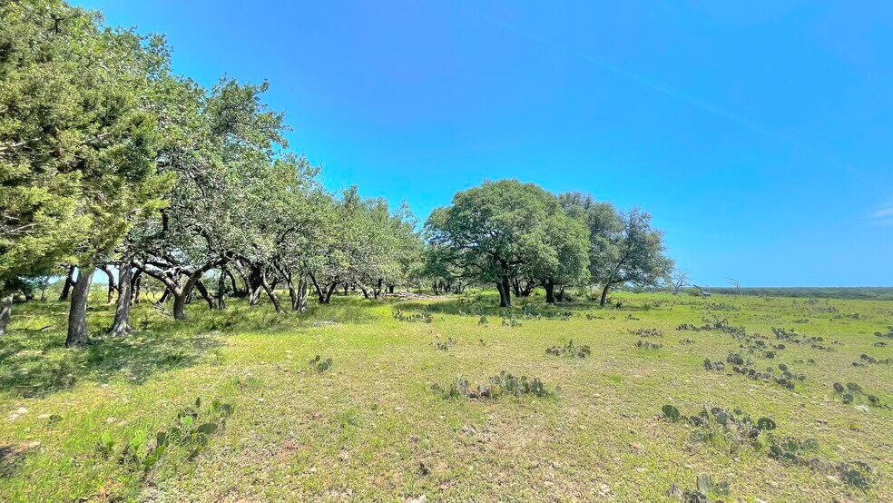 More Photos Of County Road 253, Bertram Land For Sale