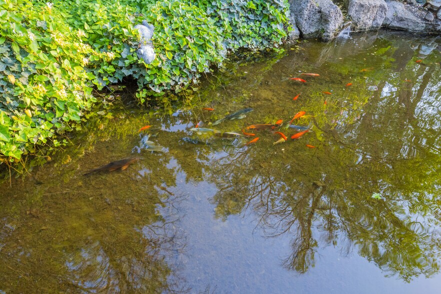 More Photos Of 8032 4th St NW, Albuquerque Restaurant For Sale