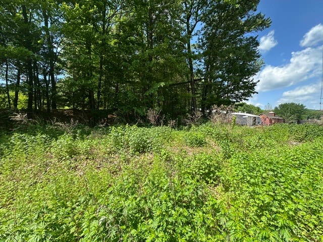 More Photos Of 55 Depot Pl, Unionville Land For Sale