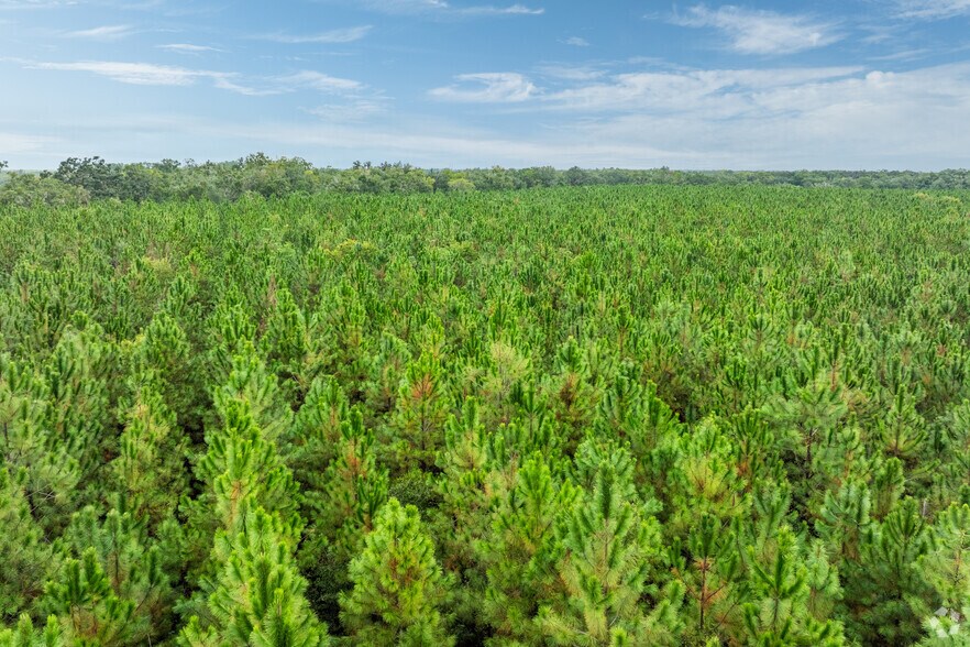 More Photos Of US 27-41/SR 24, Archer Land For Sale