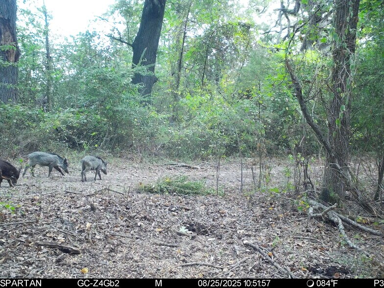 More Photos Of County Road 2592, Marietta Land For Sale