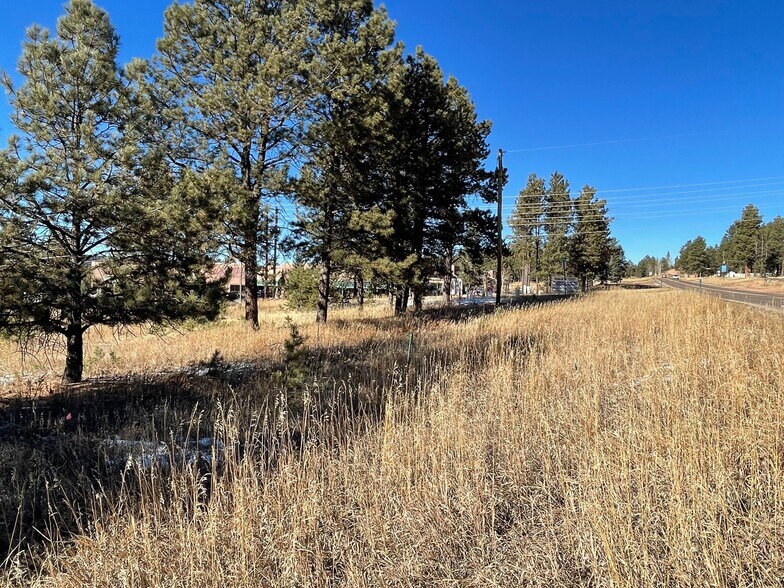 More Photos Of 841 Research Dr, Woodland Park Land For Sale