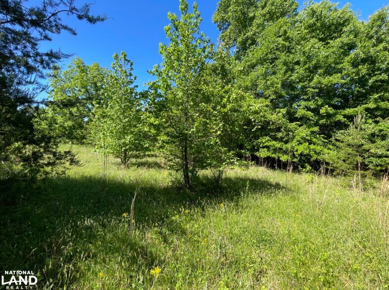 More Photos Of 0 Gibbs Road, Wellford Land For Sale