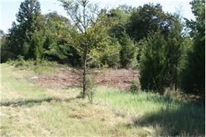 More Photos Of 2415 E Oak St, Conway Land For Sale