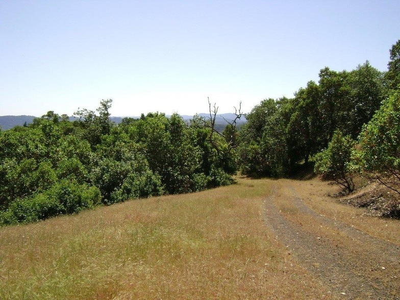 More Photos Of Newton Creek Rd, Roseburg Land For Sale