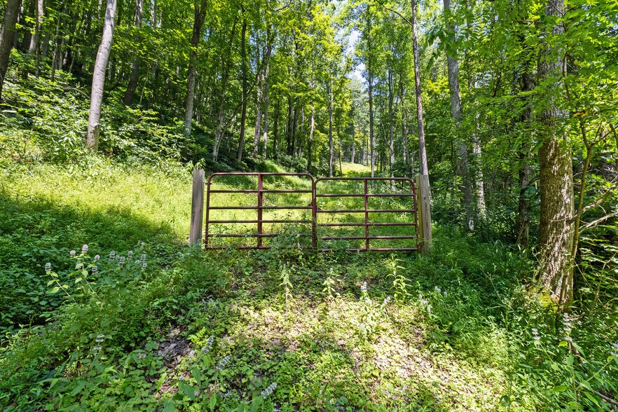 More Photos Of 24272 CONRAD Rd, Laurelville Land For Sale