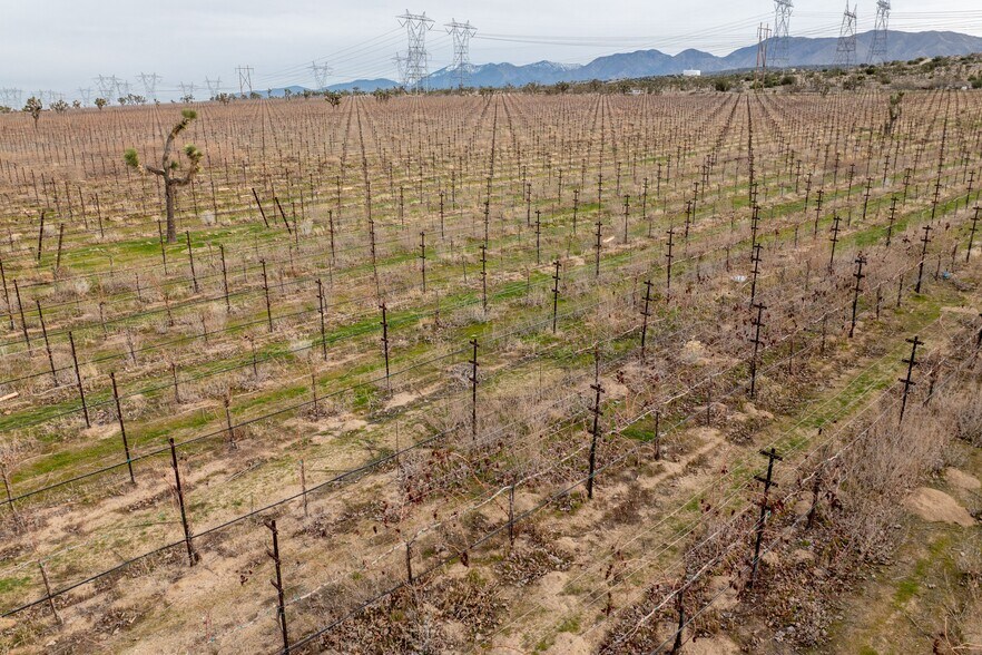 More Photos Of Fort Tejon Rd, Littlerock Land For Sale