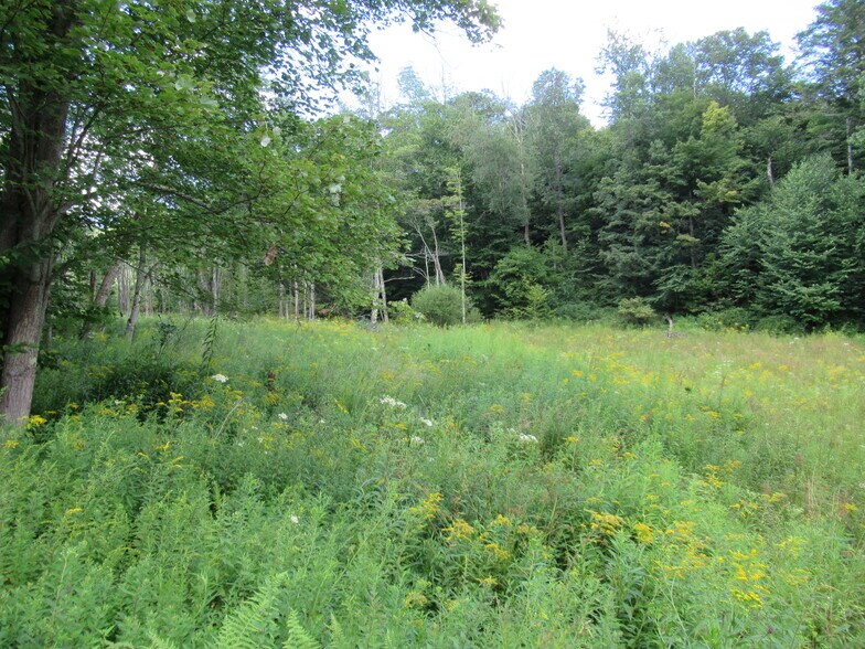 More Photos Of Ferndale rd, Ferndale Land For Sale