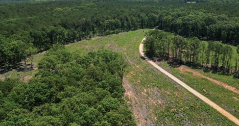 More Photos Of Muckaway Rd, Abbeville Land For Sale