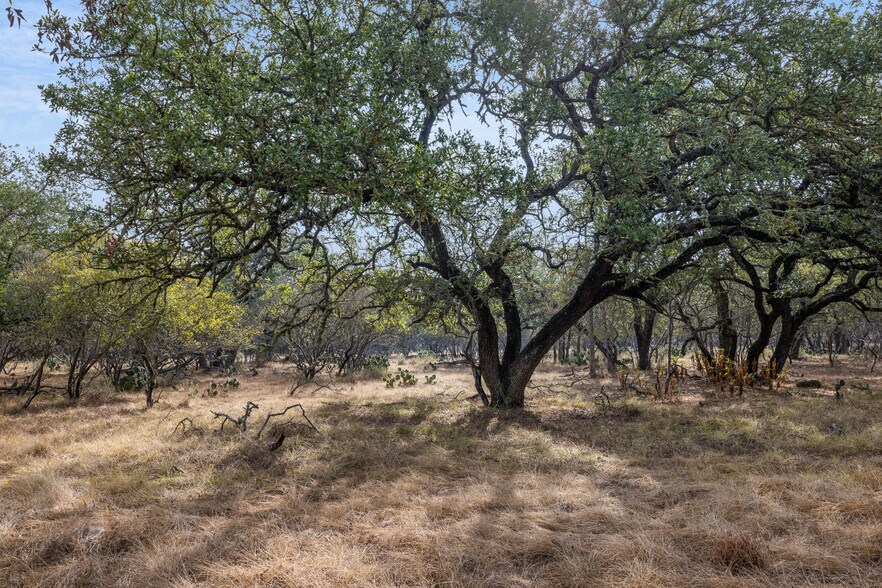 More Photos Of 3801 W FM 150, Kyle Land For Sale