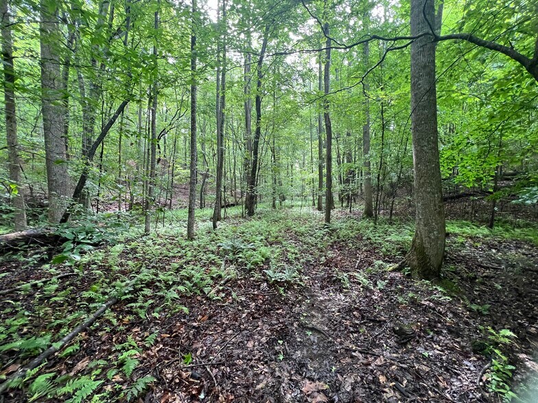 More Photos Of 395 Able rd, Waleska Land For Sale