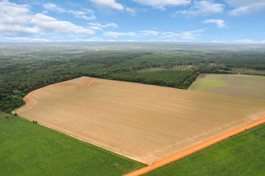 More Photos Of 0 Old Stage rd, Repton Land For Sale