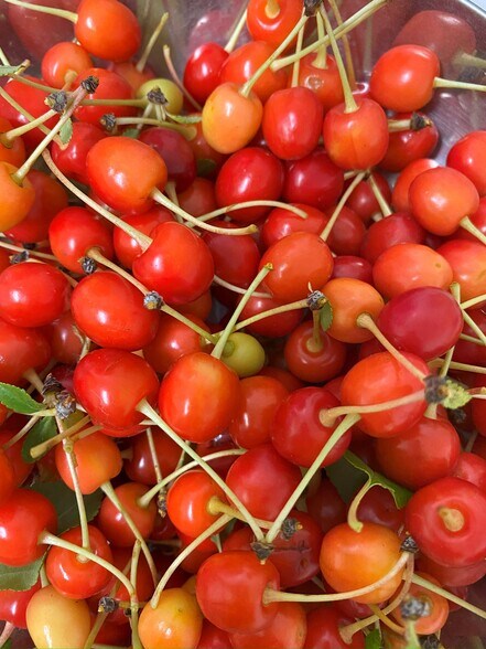 More Photos Of 157 Hergenrider Rd, Bridger Land For Sale