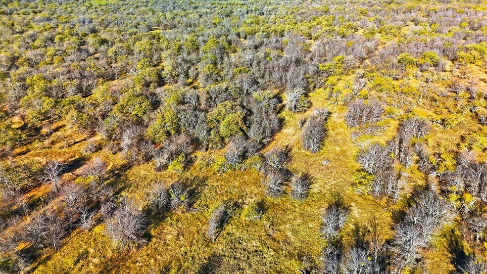 More Photos Of TBD Private Road 1534, Bridgeport Land For Sale