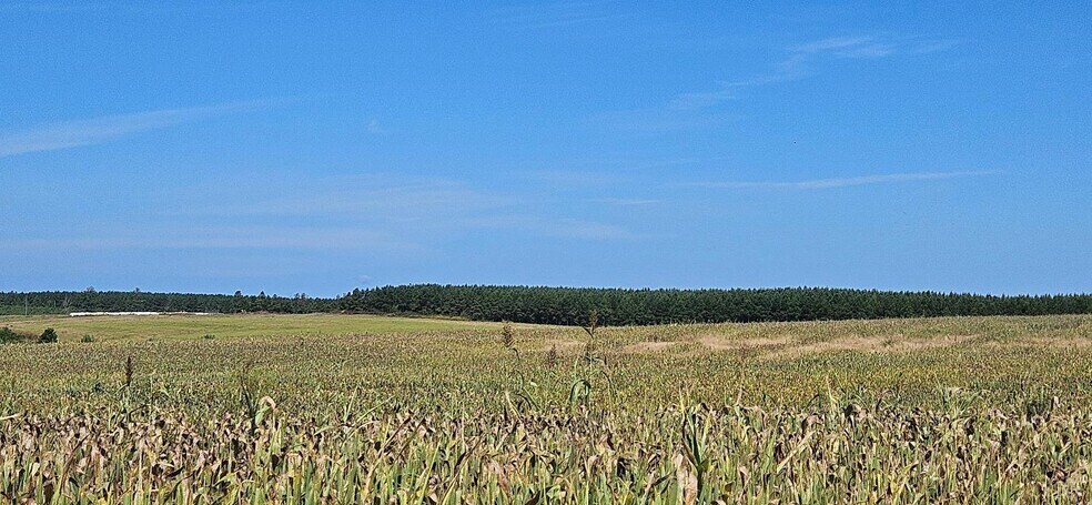 More Photos Of Glenmore Road, Scottsville Land For Sale