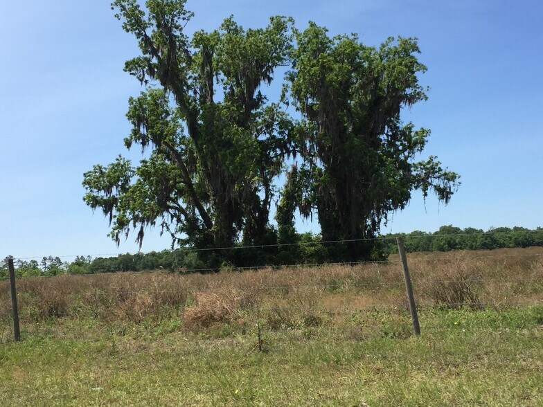 More Photos Of US Hwy 129, Live Oak Land For Sale