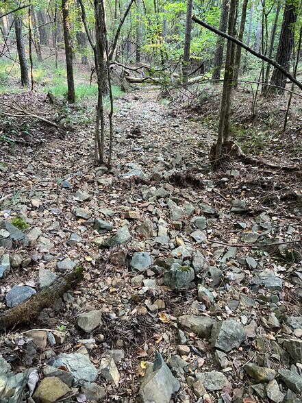 More Photos Of 92 Lillian Strong rd, Carlton Land For Sale