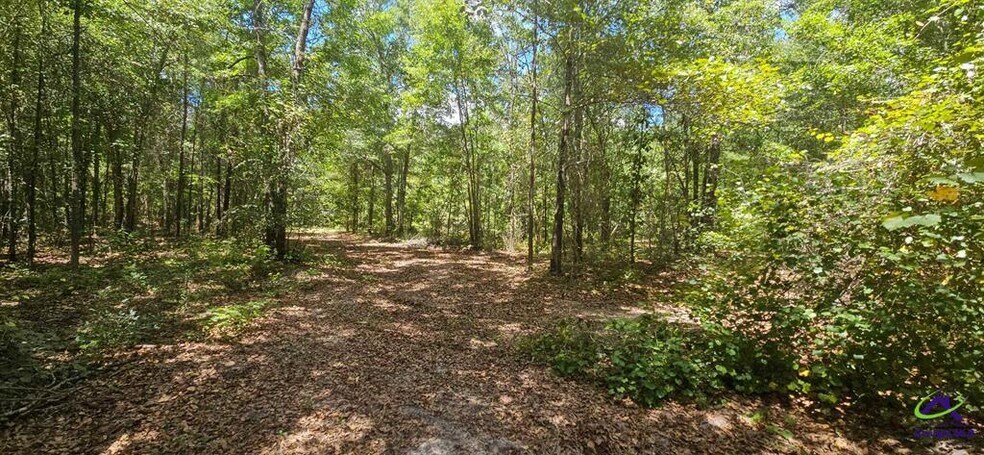 More Photos Of 21.20 Acres Priest Road, Vienna Land For Sale