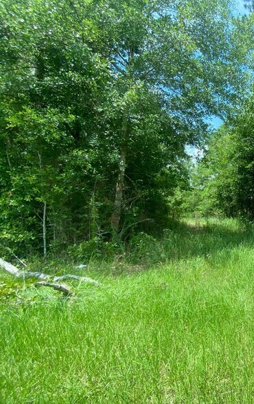 More Photos Of County Rd 24, Foley Land For Sale