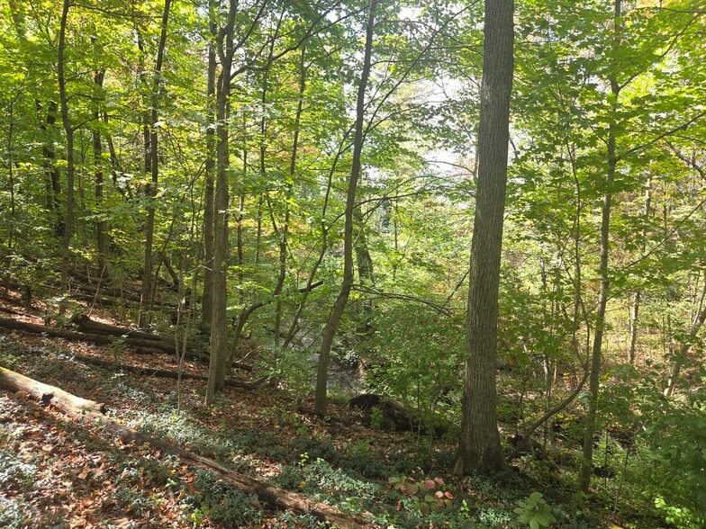 More Photos Of 0 Beecher Crossing Rd N, Gahanna Land For Sale