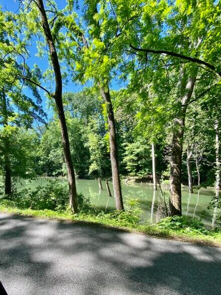 More Photos Of Chapman Rd, LaFollette Land For Sale