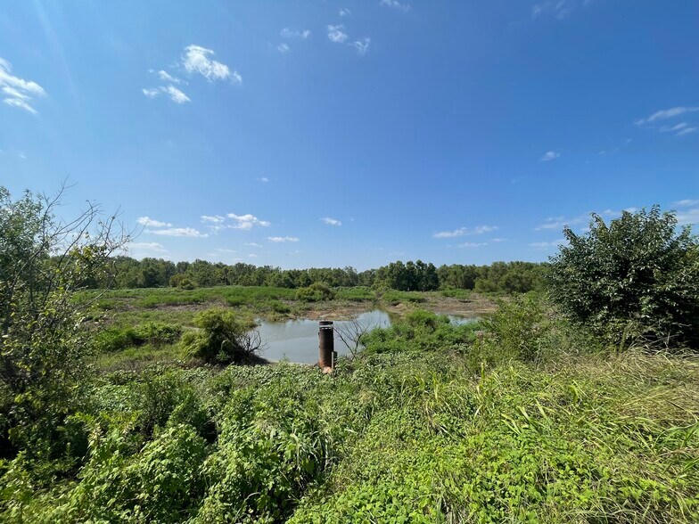 More Photos Of 17192 Co 21 rd, Marion Junction Land For Sale