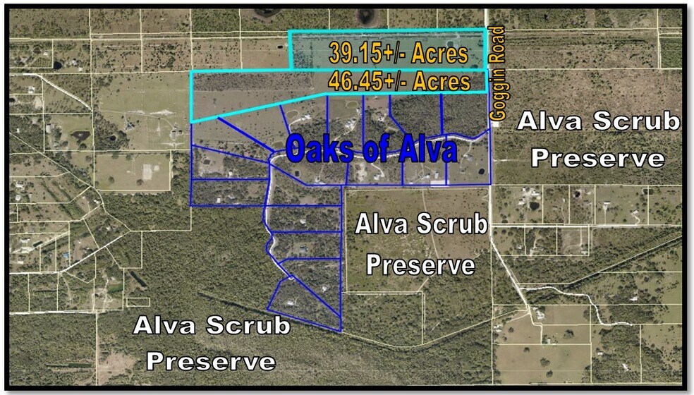 Primary Photo Of Goggin Rd, Alva Land For Sale