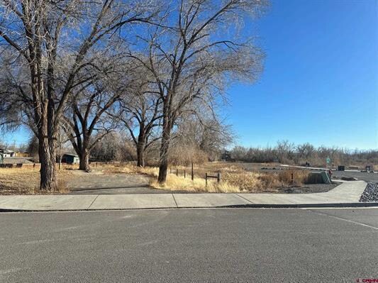 Primary Photo Of 841 N Grand Ave, Montrose Land For Sale