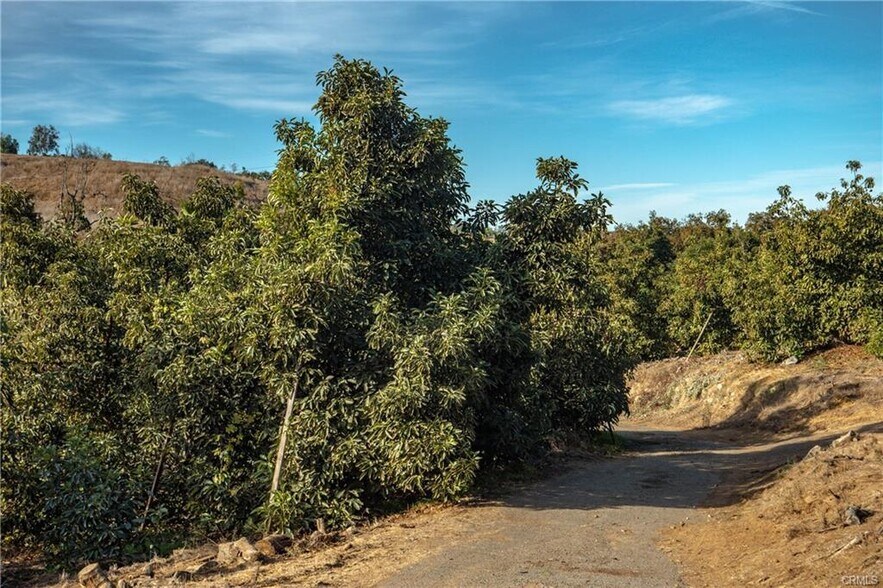 More Photos Of 0 Gopher Canyon Rd, Vista Land For Sale